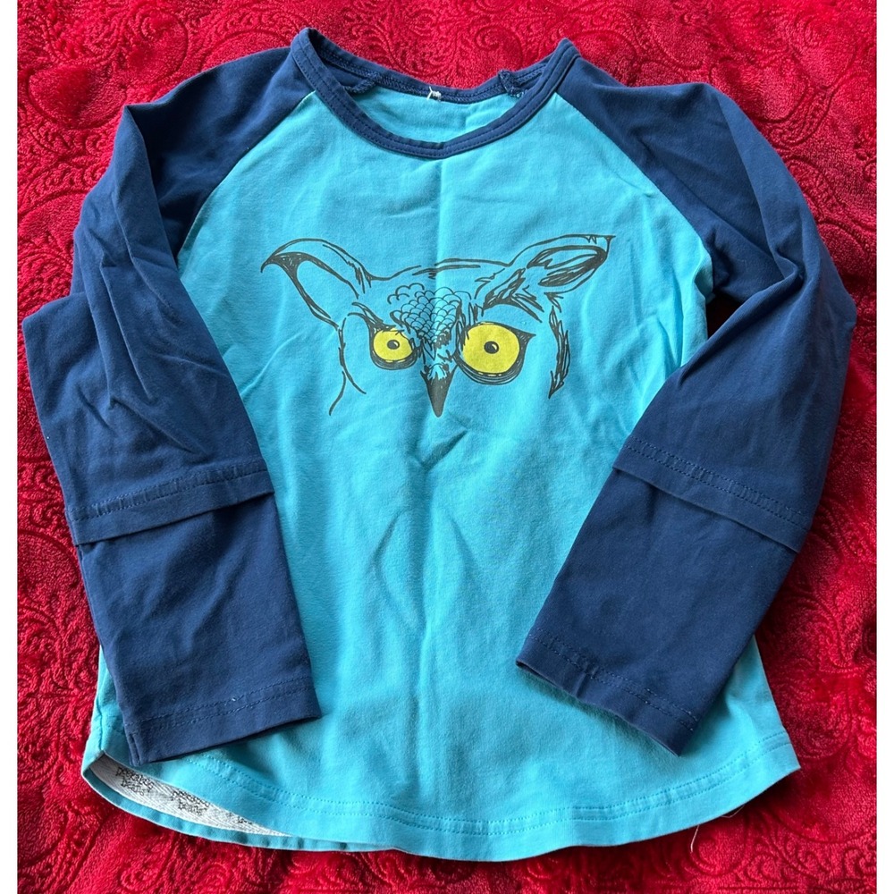 Kids Long Sleeve Shirt Size 4‎ Blue Owl Graphic Raglan